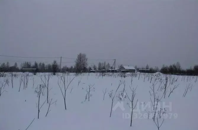 Участок в Московская область, Шаховская муниципальный округ, д. ... - Фото 1