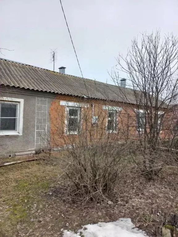 2-к кв. Воронежская область, Новоусманский район, Хреновское с/пос, с. ... - Фото 2