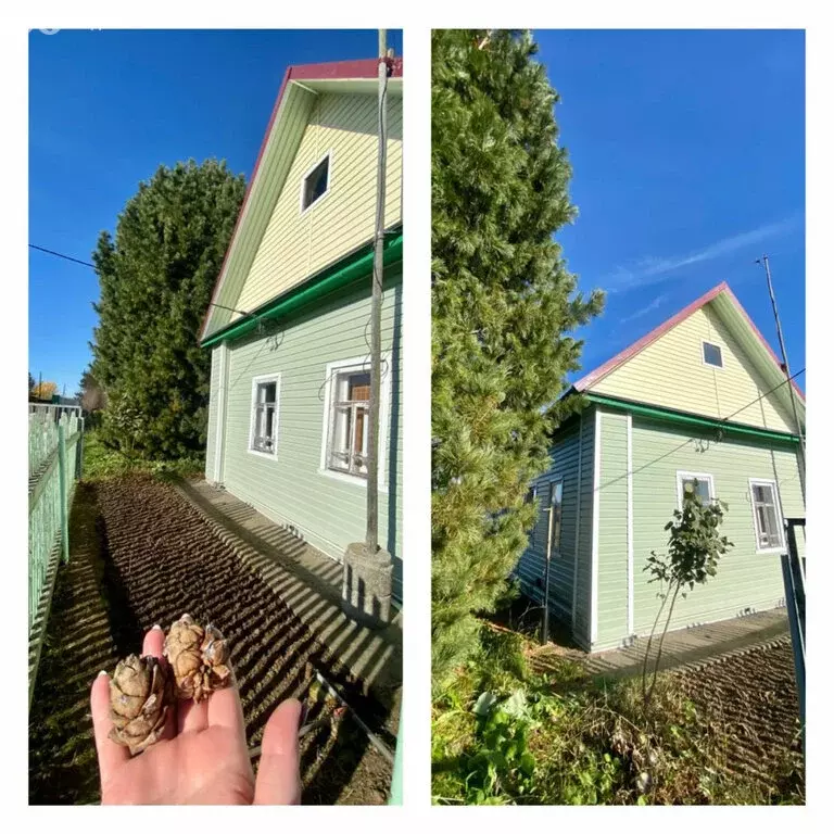 Дом в Коныпское сельское поселение, деревня Исаковцы (40 м) - Фото 0