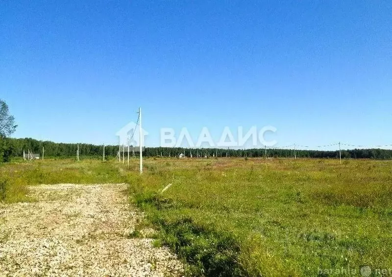 Участок в Калининградская область, Гурьевский муниципальный округ, ... - Фото 2