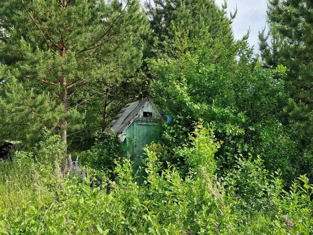 Участок в Самарская область, Волжский район, Черноречье с/пос, Надежда ... - Фото 0