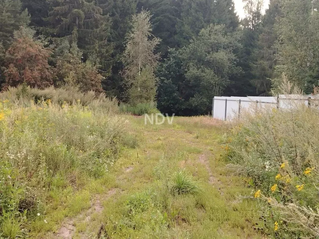 Участок в Москва № 55 кв-л, 191 (8.0 сот.) - Фото 2