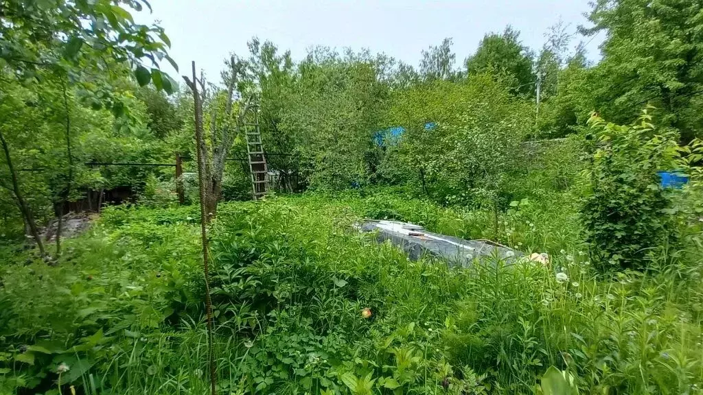 Участок в Нижегородская область, Нижний Новгород Дружба СНТ, 96 (4.5 ... - Фото 2