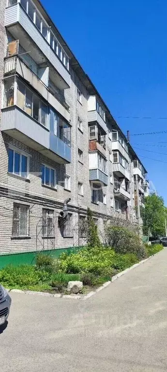 1-к кв. Алтайский край, Барнаул просп. Строителей, 23Ак1 (32.4 м) - Фото 0