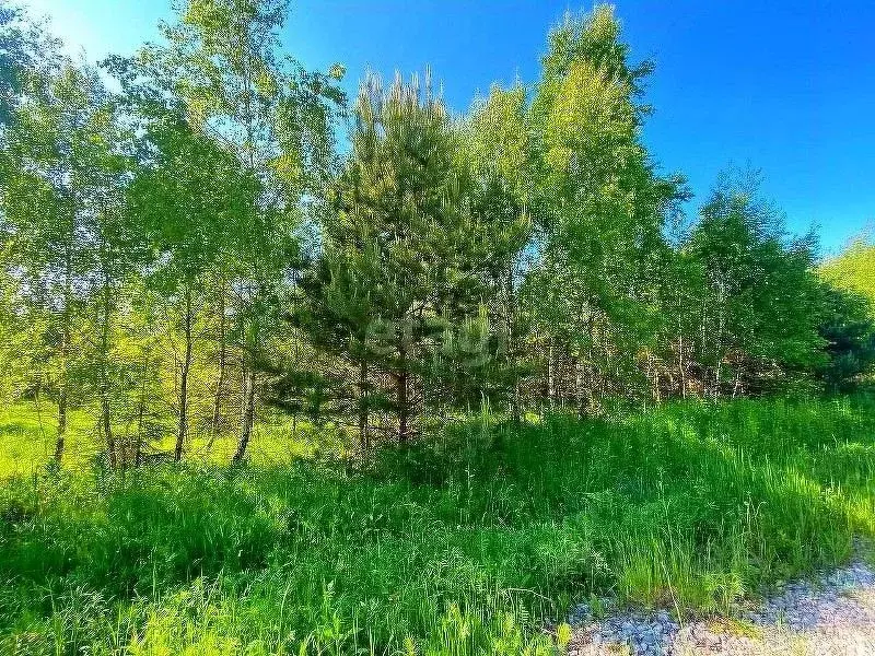 Участок в Калужская область, Малоярославецкий район, Юбилейный с/пос, ... - Фото 2