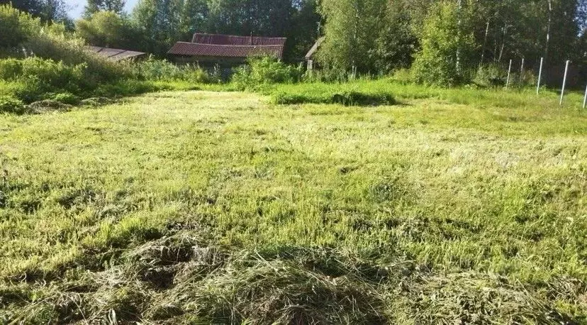 Участок в Ленинградская область, Тосненский район, Шапкинское с/пос, ... - Фото 2