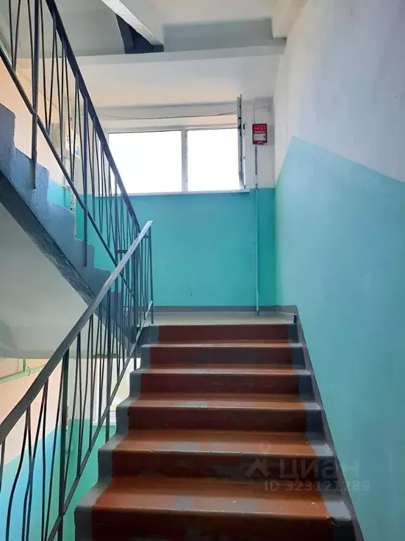 3-к кв. Пермский край, Пермь ул. Маршала Рыбалко, 41 (60.0 м) - Фото 2