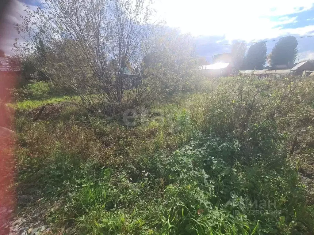 Участок в Новосибирская область, Новосибирский район, с. Раздольное  ... - Фото 2