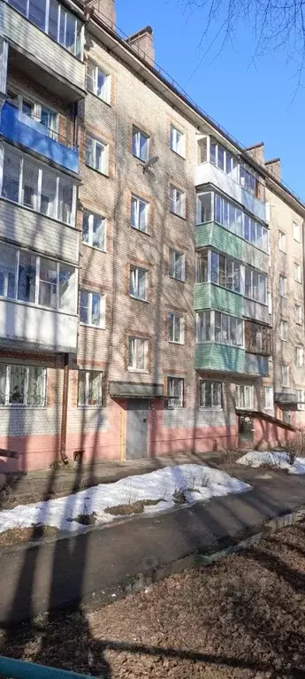 1-к кв. Московская область, Красноармейск Пушкинский городской округ, ... - Фото 1