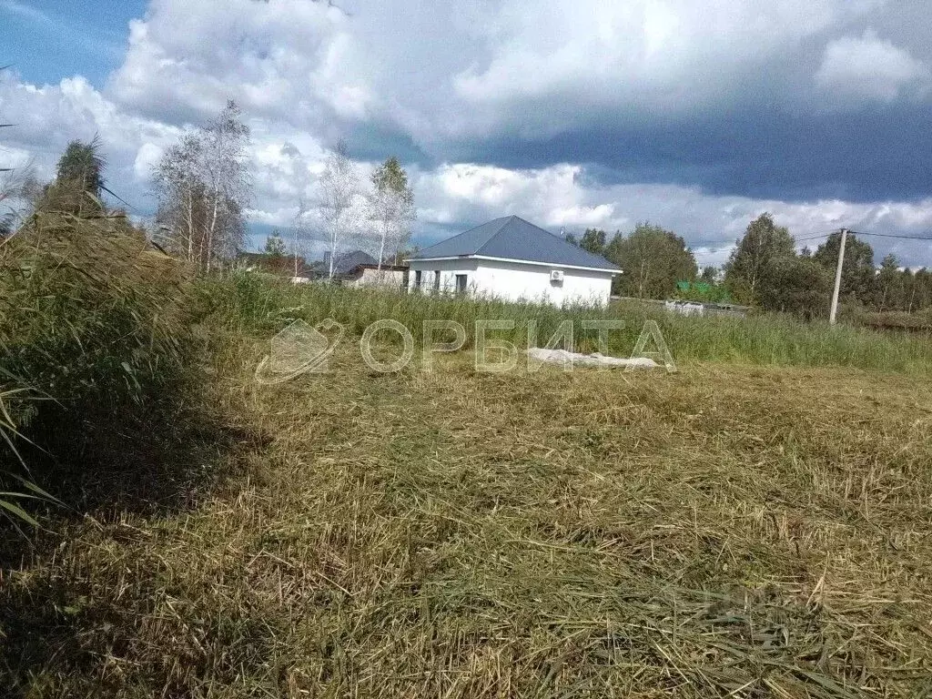 Участок в Тюменская область, Тюмень СОСН Россиянка тер., ул. ... - Фото 1