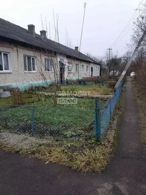 1-комнатная квартира: Решетниково, Центральная улица, 53 (26.5 м) - Фото 1