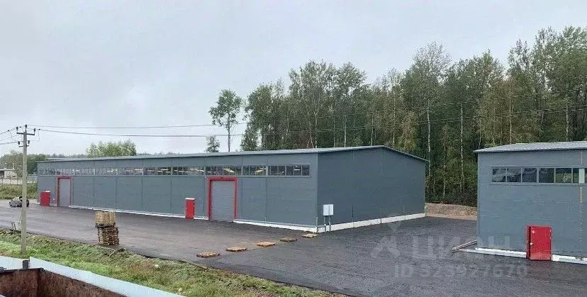 Склад в Ленинградская область, Ломоносовский район, Горбунковское ... - Фото 1