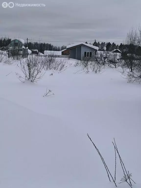 Участок в Медведевский район, Сидоровское сельское поселение, СНТ ... - Фото 1