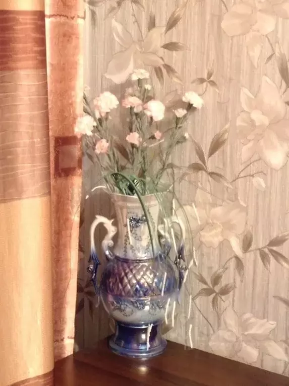 3-к кв. Брянская область, Фокино ул. Карла Маркса, 16 (60.1 м) - Фото 1