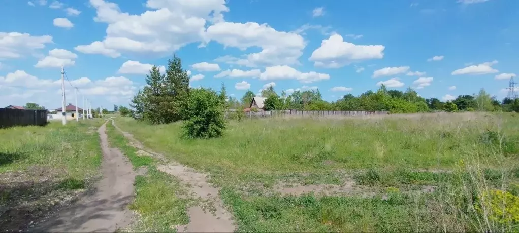 Участок в Воронежская область, Воронеж ул. Снежная, 9Б (10.0 сот.) - Фото 0