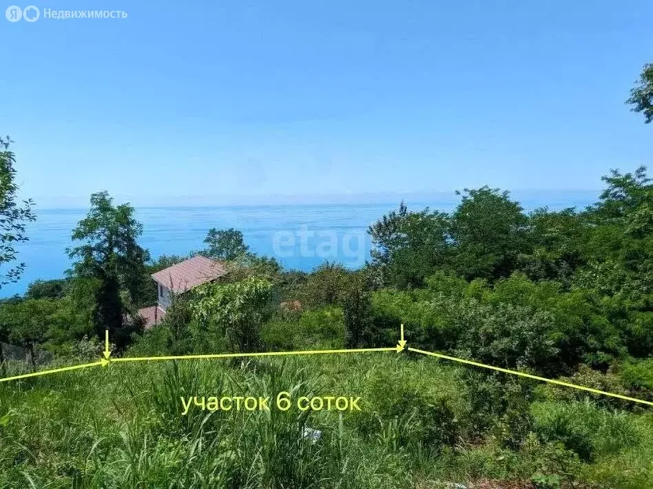 Участок в Сочи, СТ Восточное (6 м) - Фото 1
