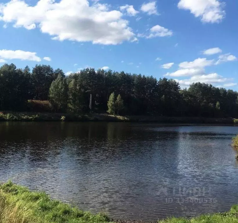 Участок в Московская область, Дмитров  (8.0 сот.) - Фото 2