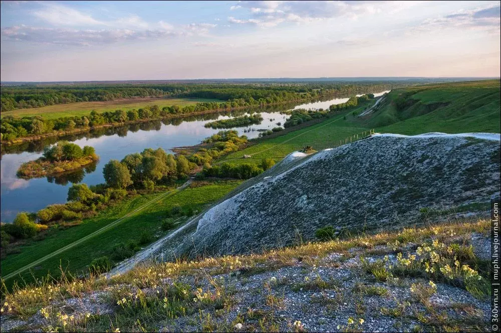 Дом в Воронежская область, Лискинский район, Старохворостанское с/пос, ... - Фото 1