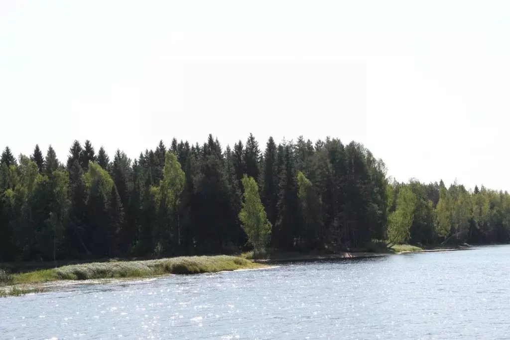 Участок в Ярославская область, Мышкинский муниципальный округ, ... - Фото 2