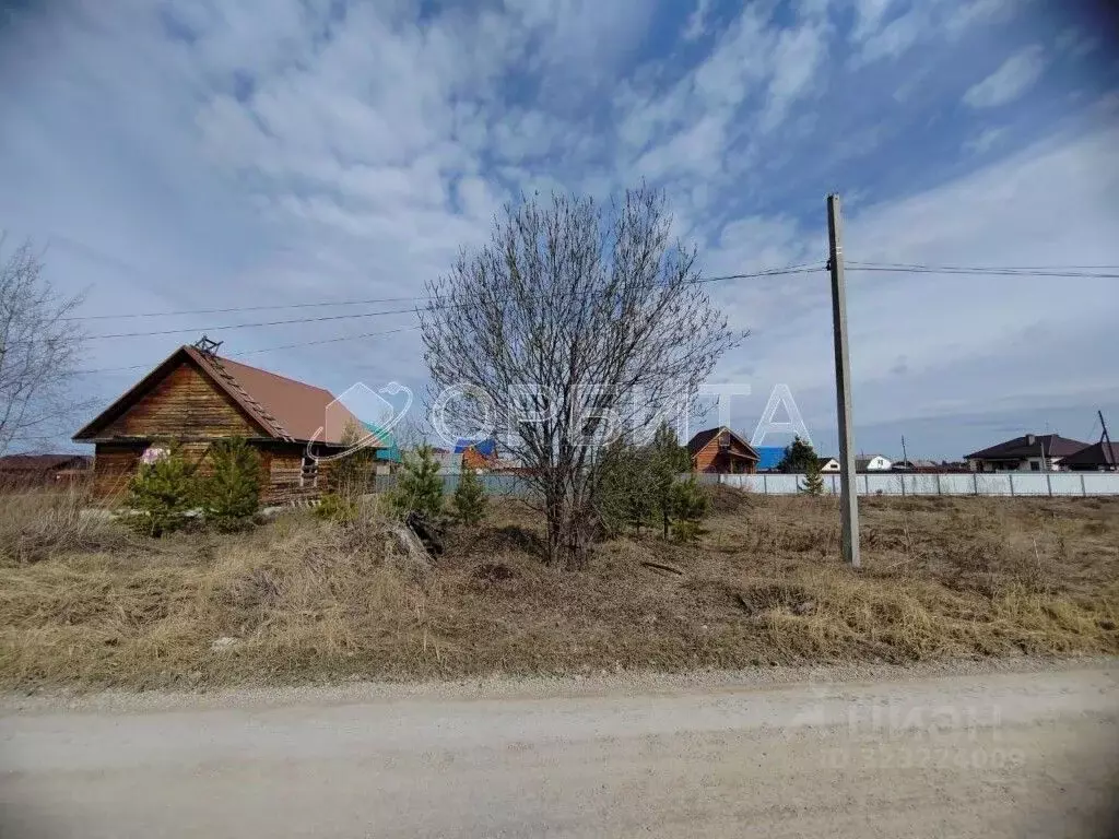 Участок в Тюменская область, Тюменский муниципальный округ, с. Каменка ... - Фото 2