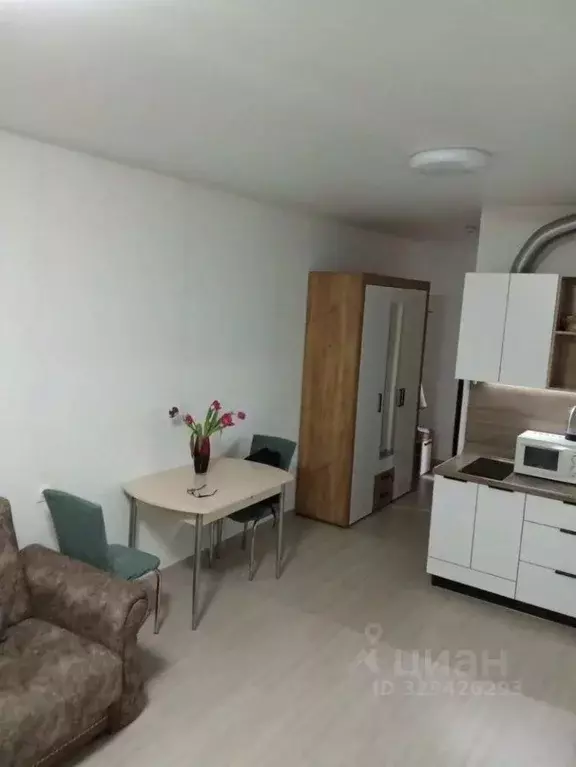Студия Краснодарский край, Анапа ш. Супсехское, 39к17 (28.0 м) - Фото 2