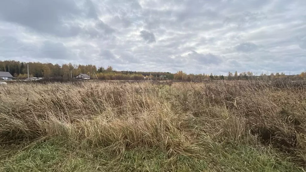 Участок в Московская область, Ступино городской округ, с. Ивановское  ... - Фото 2