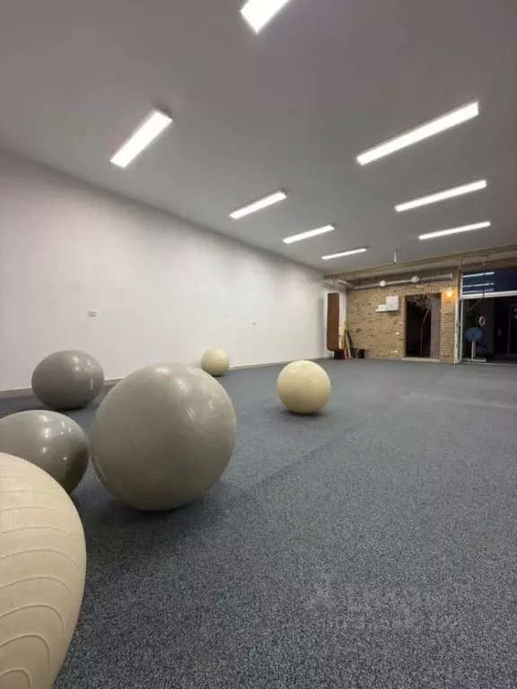 Помещение свободного назначения в Нижегородская область, Дзержинск ... - Фото 2