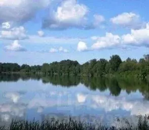 Участок в Московская область, Раменский муниципальный округ, д. Минино ... - Фото 1