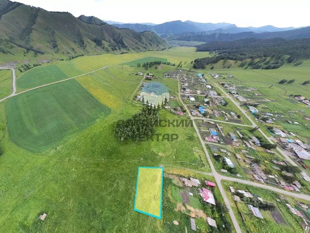 Участок в Алтай, Шебалинский район, с. Дъектиек ул. Школьная (14.99 ... - Фото 1