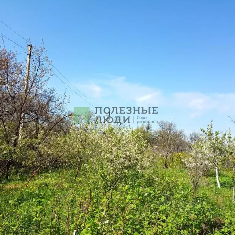 Участок в Астраханская область, Володарский район, с. Новый Рычан ... - Фото 1