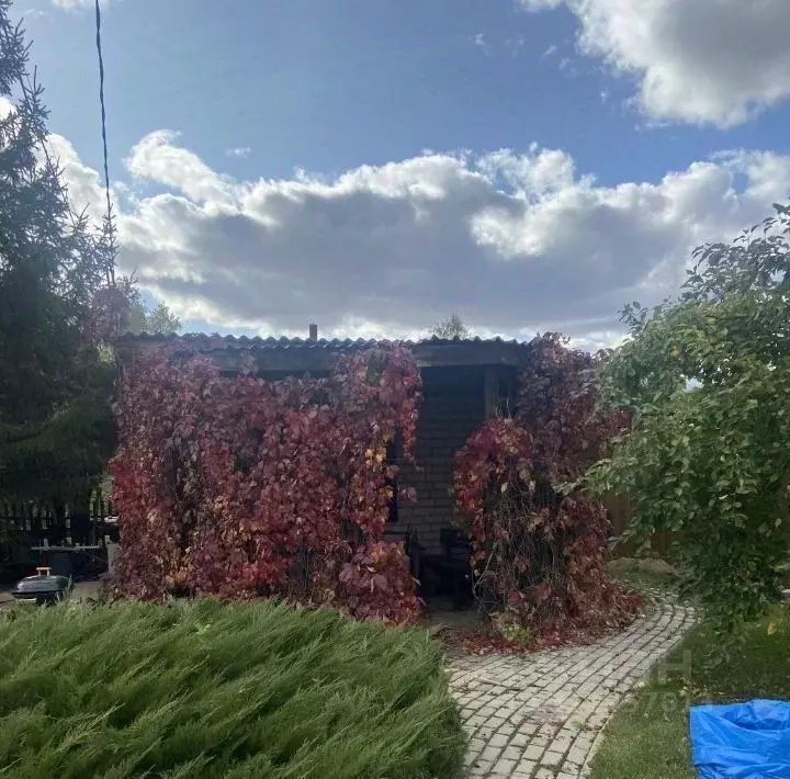 Дом в Омская область, Омский район, Иртышское с/пос, Зеленая Падь СНТ ... - Фото 2