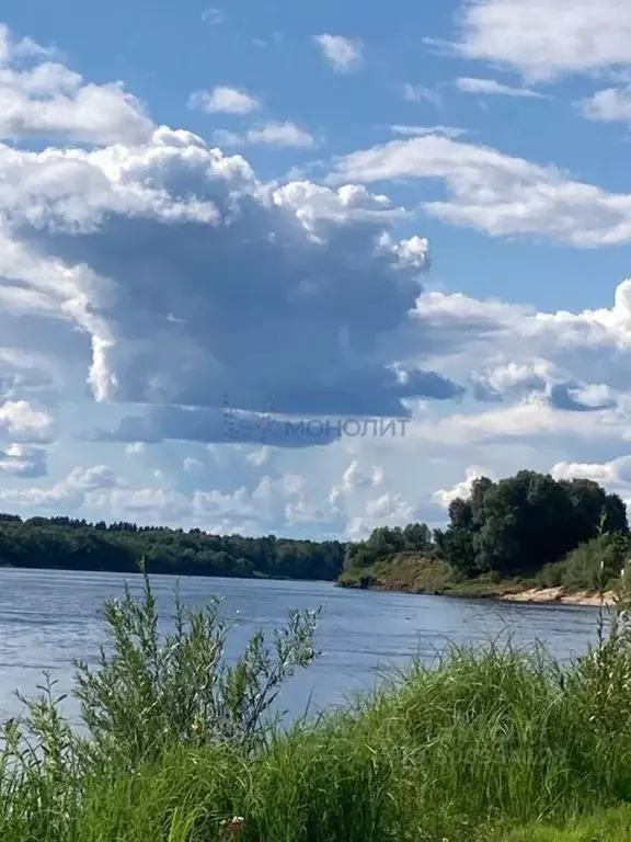 Участок в Нижегородская область, Павловский район, д. Низково Речная ... - Фото 0