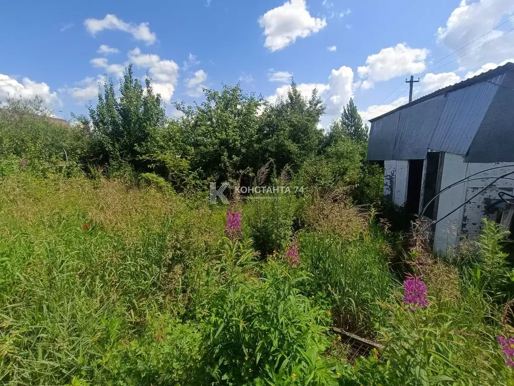 Участок в Челябинская область, Аргаяшский муниципальный округ, ... - Фото 2