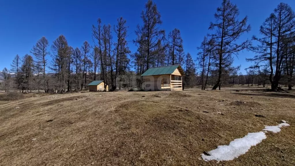 Дом в Алтай, Усть-Коксинский район, с. Мульта Школьная ул. (19 м) - Фото 2