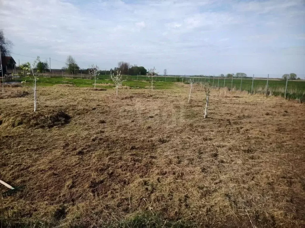 Участок в Калининградская область, Зеленоградский муниципальный округ, ... - Фото 1