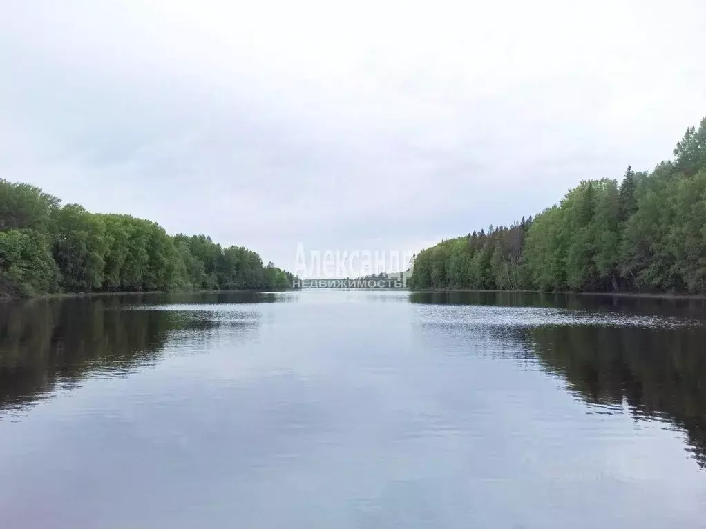 Участок в Ленинградская область, Выборгский район, Селезневское с/пос, ... - Фото 1