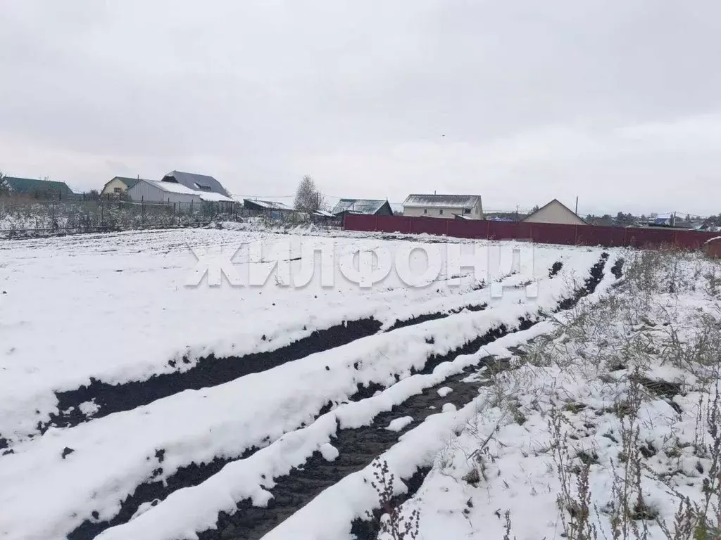 Участок в Новосибирская область, Колыванский район, д. Большой Оеш ... - Фото 1