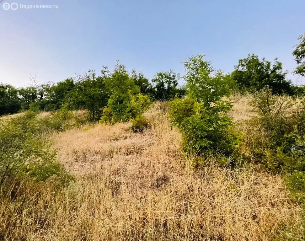 Участок в Генеральское, Центральная улица, 1Д (11.5 м) - Фото 2