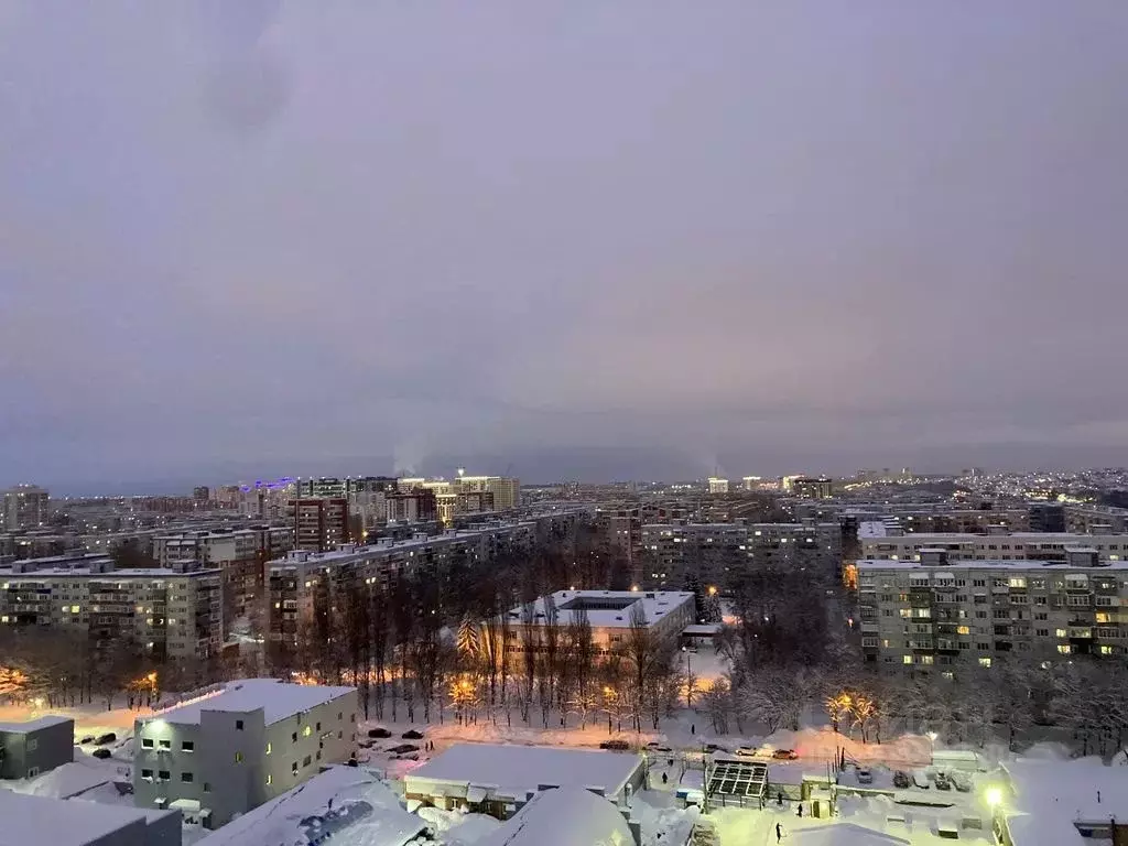 Студия Пензенская область, Пенза ул. Стасова, 2Ак1 (28.0 м) - Фото 1