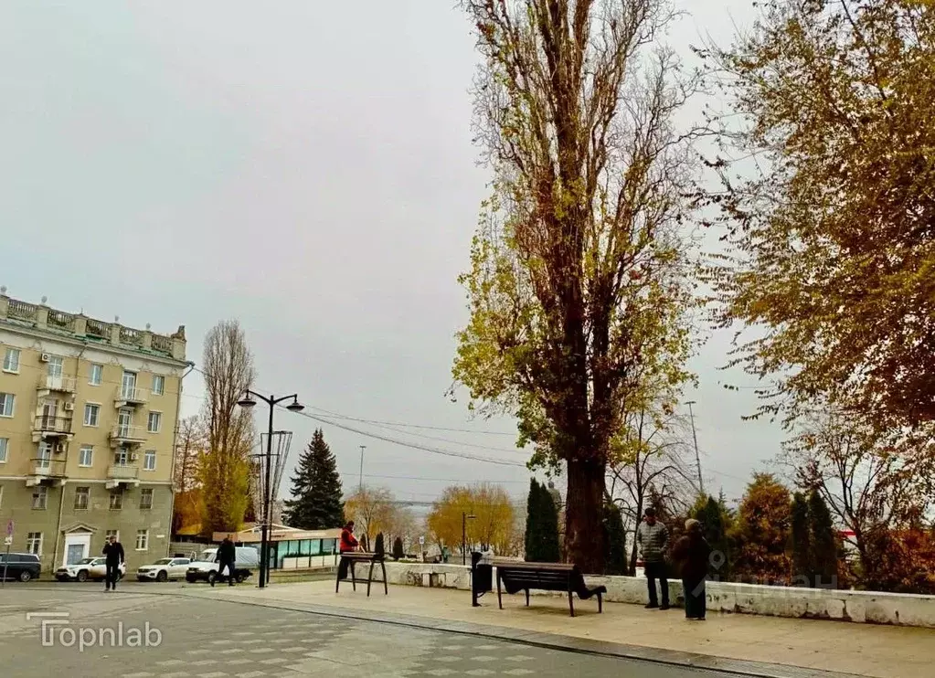 3-к кв. Саратовская область, Саратов Набережная ул., 1 (71.4 м) - Фото 1