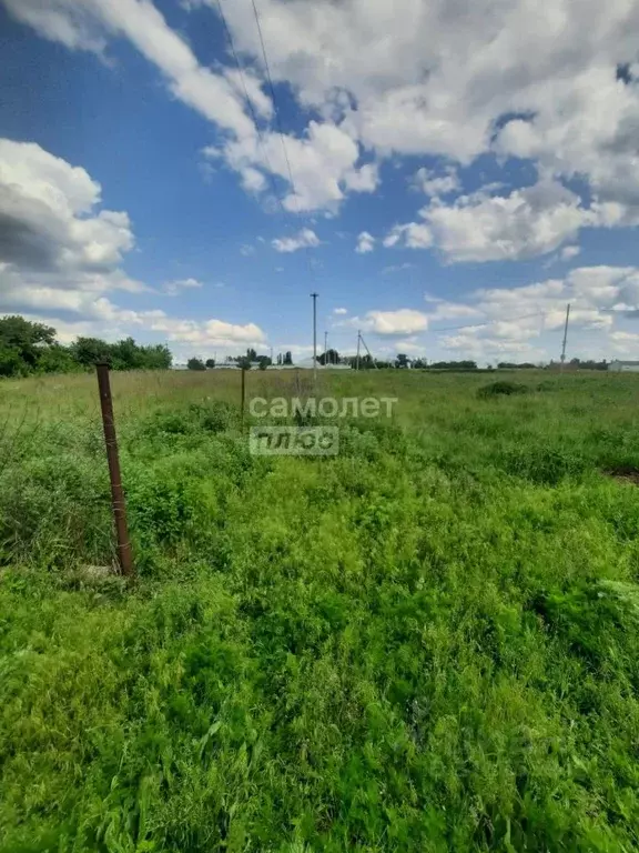 Дом в Воронежская область, Рамонский район, с. Горожанка  (85 м) - Фото 0