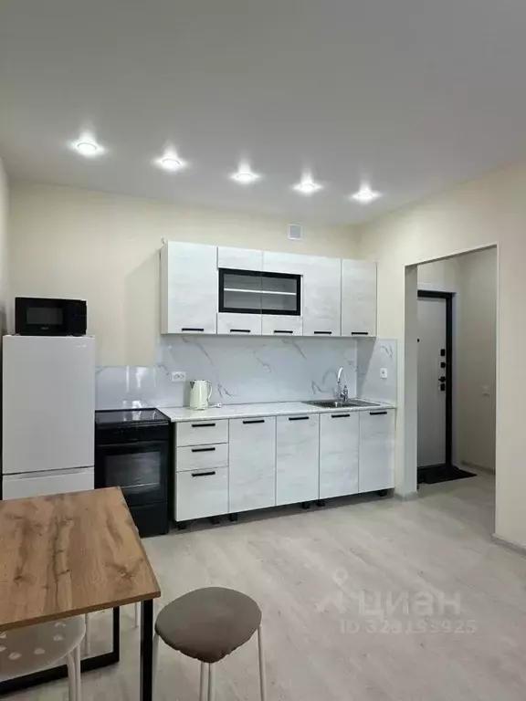 Студия Новосибирская область, Новосибирский район, Мочищенский ... - Фото 1