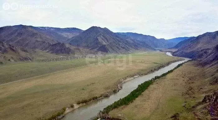 Участок в Чемальский район, село Чемал (100 м) - Фото 1