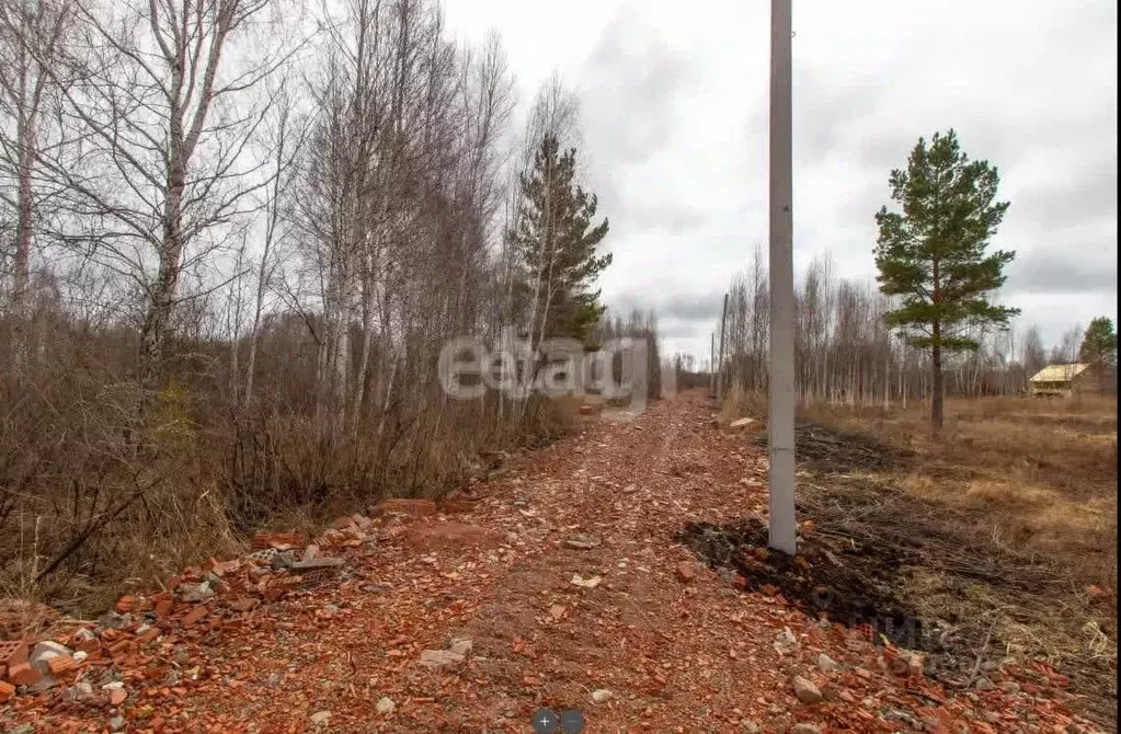 Участок в Тюменская область, Нижнетавдинский муниципальный округ, ... - Фото 2
