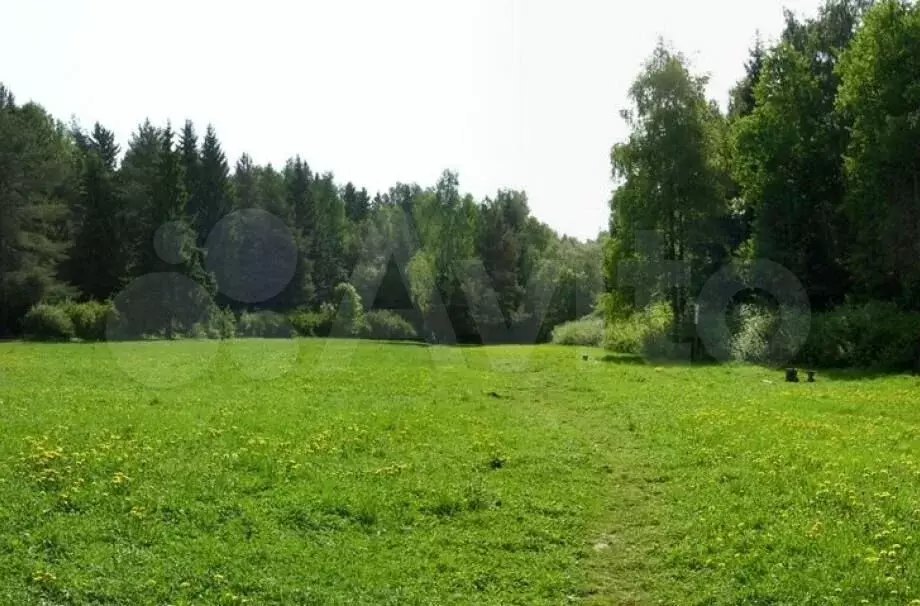 Перед лесом. Участок на окраине леса. Земля в лесу Полянка. Поляна близко. Коттеджный поселок малинки Выборгский район.