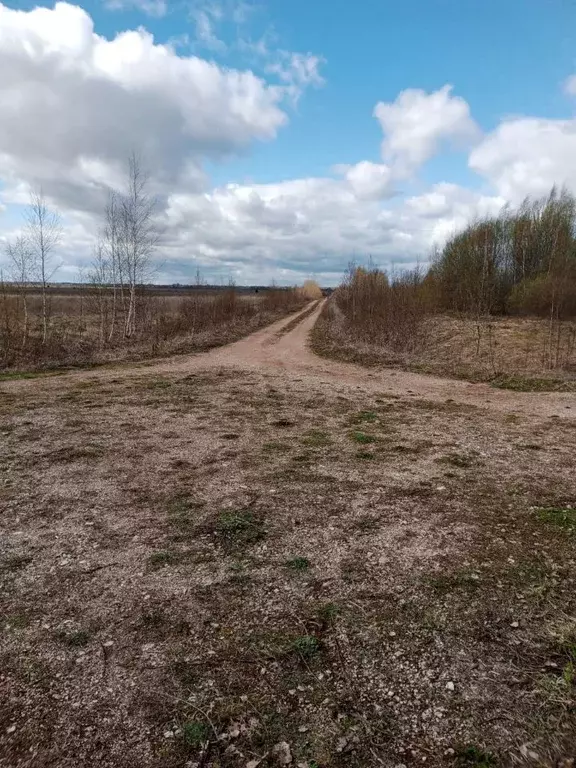Участок в Новгородская область, Солецкий муниципальный округ  (500.0 ... - Фото 0