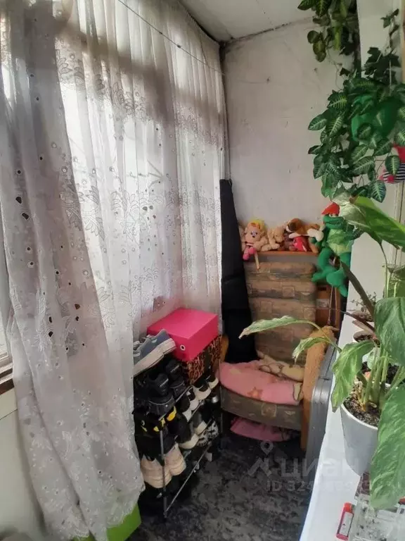 1-к кв. Крым, Евпатория ул. 60 лет ВЛКСМ, 16 (32.6 м) - Фото 2