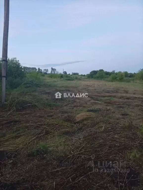 Участок в Белгородская область, Яковлевский муниципальный округ, с. ... - Фото 1