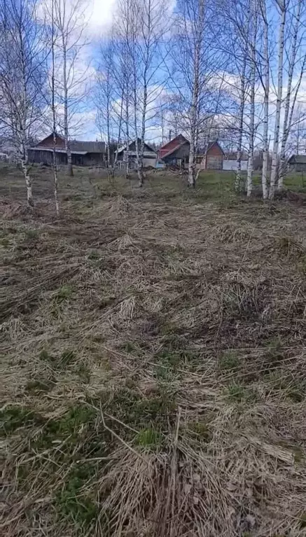 Участок в Нижегородская область, Чкаловск муниципальный округ, д. ... - Фото 2