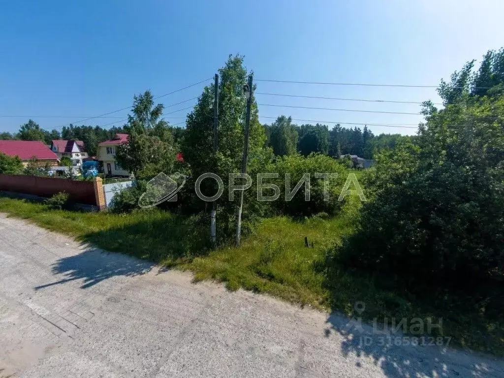 Участок в Тюменская область, Нижнетавдинский район, с. Тюнево Новая ... - Фото 0